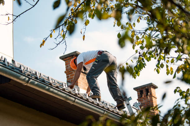 Best Local Roofing Companies  in Horseshoe Bend, AR